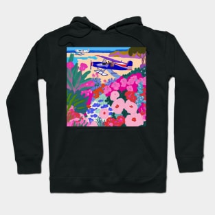 Private plane tour Hoodie